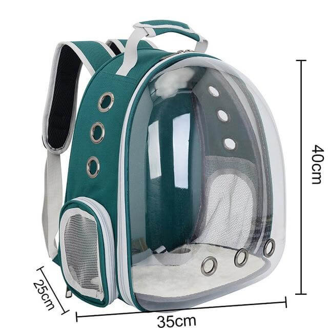 Cat 2024 capsule backpack